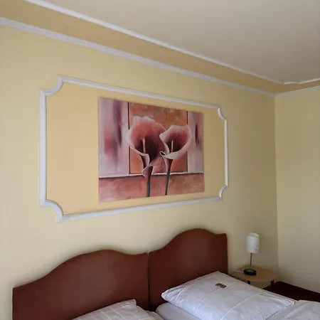 Dillinger Hof Отель 3*