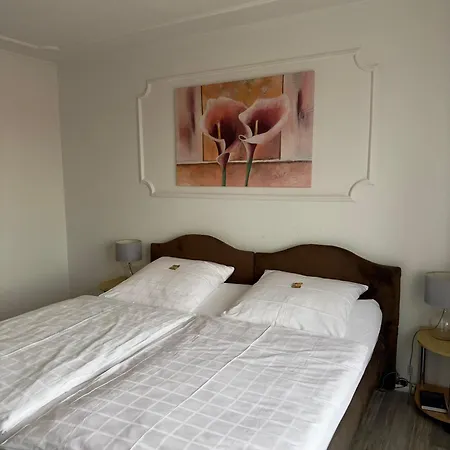 Dillinger Hof Hotel Dillingen an der Donau